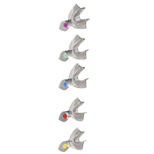 Impression Trays
